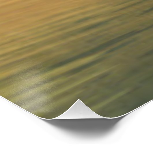 自由の反射 ポスター (コーナー)