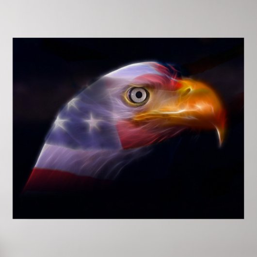 自由の地,勇敢の家 ポスター (正面)