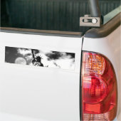 自由の女神ニューヨーク バンパーステッカー (トラック上)