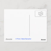 自由の女神 ポストカード (裏面)