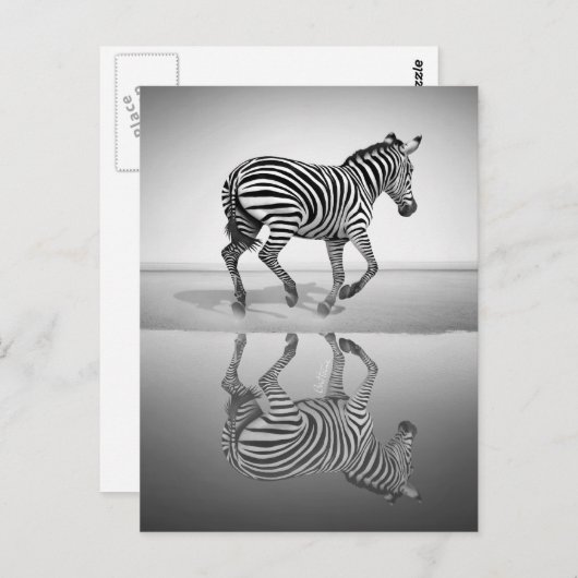 自由の海 ポストカード (正面/裏面)