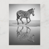 自由の海 ポストカード (正面)