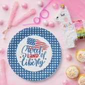 自由の甘い土地ブルースターズ愛国心 ペーパープレート (パーティー)