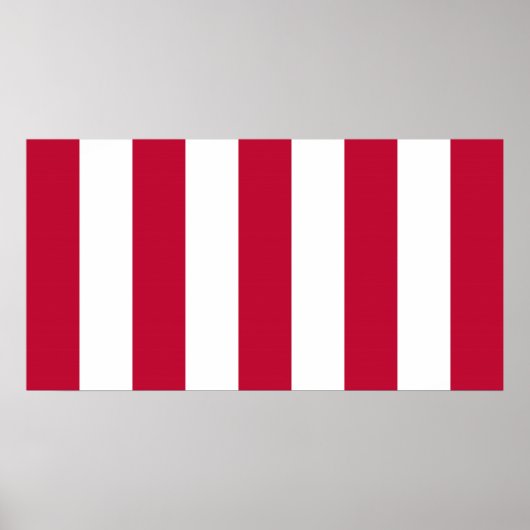 自由の米国の息子9垂直帯旗 ポスター (正面)