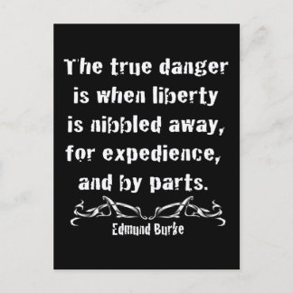 自由はかじられた遠くにです ポストカード