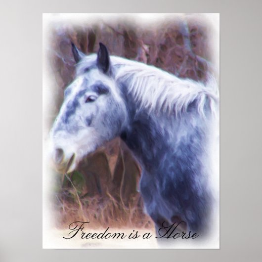 自由は馬なり ポスター (正面)