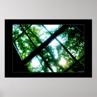 自由を求めて ポスター