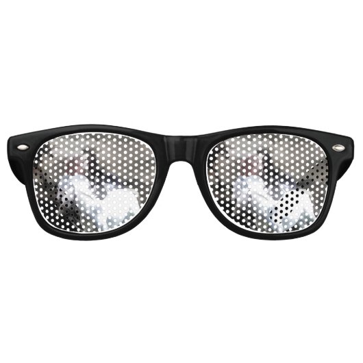 自由を破る   -野生の馬 レトロサングラス (正面)