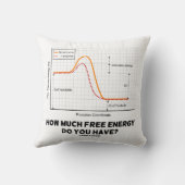 自由エネルギーはいくらあるか化学ユーモア クッション (裏面)