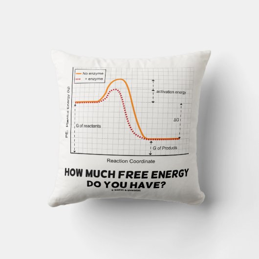 自由エネルギーはいくらあるか化学ユーモア クッション (裏面)