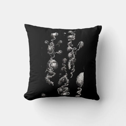 自由浮遊オーガニック収差 クッション (正面)