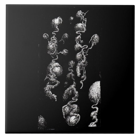 自由浮遊オーガニック収差 タイル (正面)