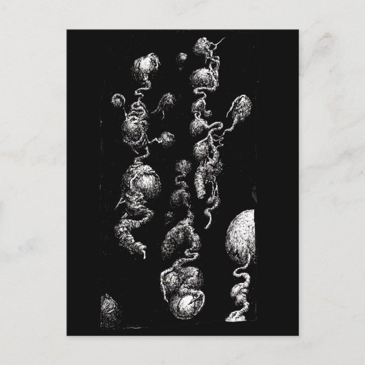 自由浮遊オーガニック収差 ポストカード (正面)