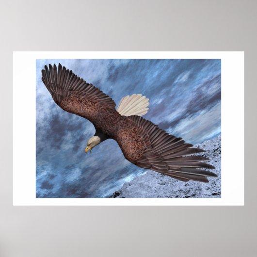 自由生まれになる ポスター (正面)