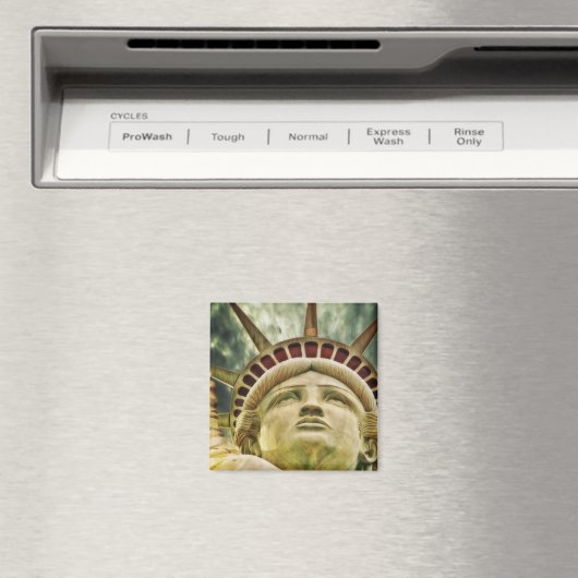 自由磁石像 マグネット (インサイチュ (食洗機))