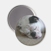 自由磁石 マグネット (正面/裏面)