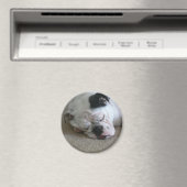 自由磁石 マグネット (インサイチュ (食洗機))