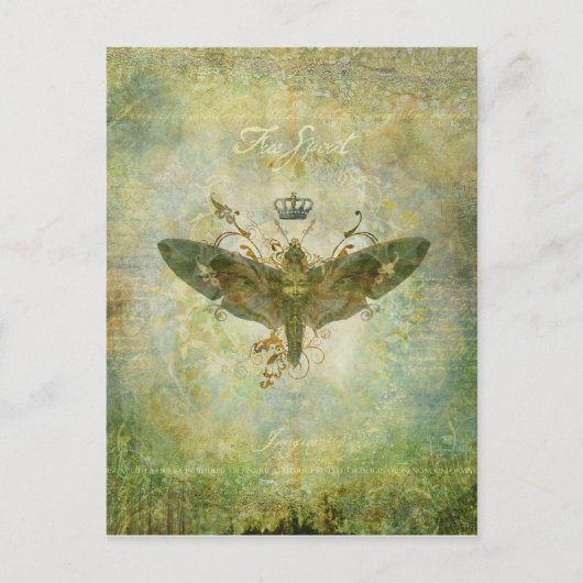 自由精神はがき ポストカード (正面)