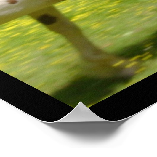 自由精神 ポスター (角)