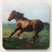 自由自在/自由自在/自由 コースター (正面)