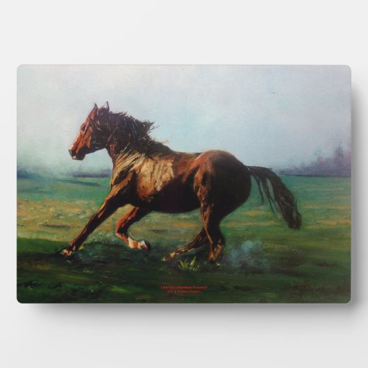 自由自在/自由自在/自由 フォトプラーク (正面)