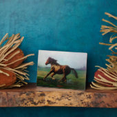 自由自在/自由自在/自由 フォトプラーク (側面)