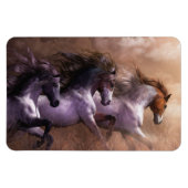 自由走にプレミアムFlexiマグネット マグネット (横)