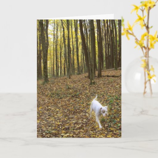 自由走に カード (黄色い花)