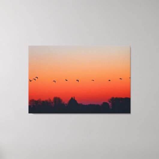 自由飛んでいる鳥美しい風景自然 キャンバスプリント (正面)