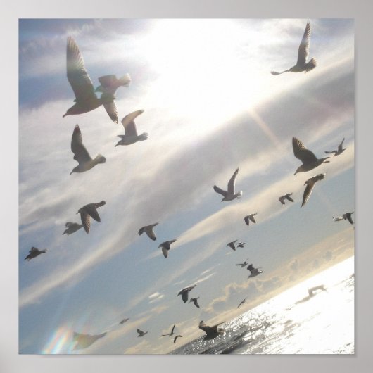 自由飛んでいる ポスター (正面)