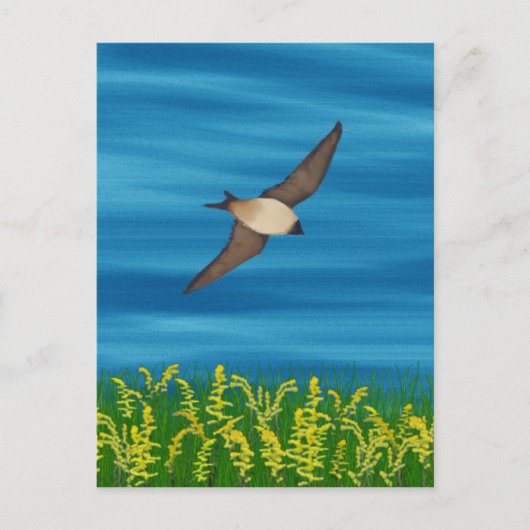 自由鳥 ポストカード (正面)