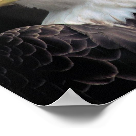 自由 ポスター (角)