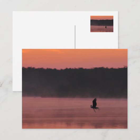 自由 ポストカード (正面/裏面)