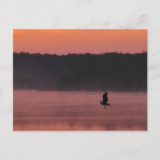 自由 ポストカード (正面)