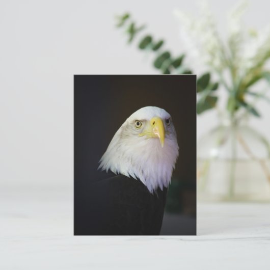 自由 ポストカード (スタンド正面)