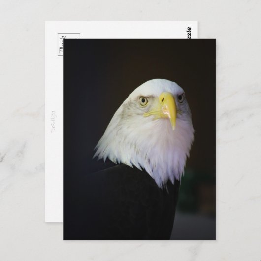 自由 ポストカード (正面/裏面)