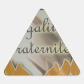 自由、平等、男子学生の社交クラブ:繁栄する未来 三角形シール (正面)