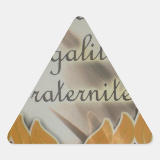 自由、平等、男子学生の社交クラブ：繁栄する未来 三角形シール (正面)