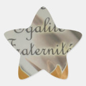 自由、平等、男子学生の社交クラブ:繁栄する未来 星シール (正面)