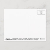 自由-郵便はがき ポストカード (裏面)