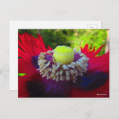 自発性 ポストカード (正面/裏面)