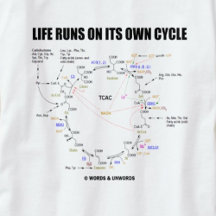自走自のサイクルでの生活(Krebs Cycle - TCAC)