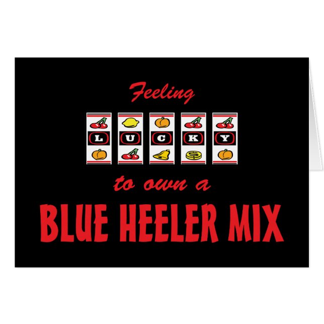 自身に幸運青いHeelerの組合せのおもしろい犬のデザイン (正面横)