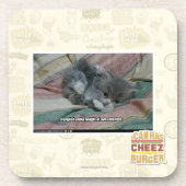 自身のcutenessの重量 コースター (正面)