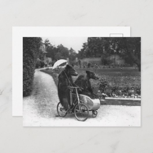 自転車に乗っているビクトリアンで風変わりなくま ポストカード (正面/裏面)