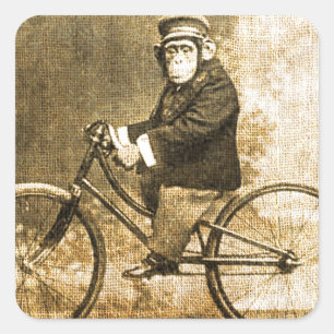 自転車のヴィンテージのチンパンジー スクエアシール