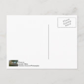 自転車の乗り降ろし連帯はがき ポストカード (裏面)