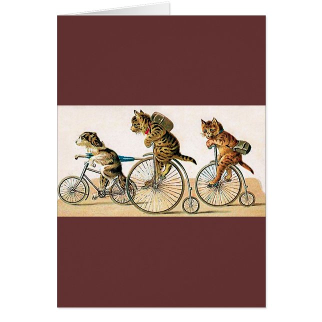 自転車の乗車 (正面)