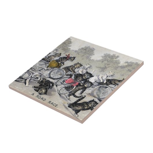 自転車の乗馬猫 タイル (側面)