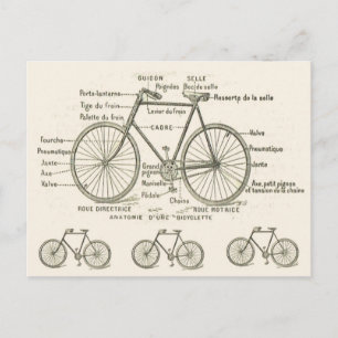 自転車の解剖学 ポストカード